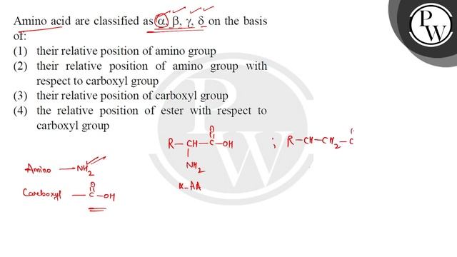Amino acid are classified are \( \alpha, \beta, \gamma, \delta \) on the basis of.... смотреть онлайн