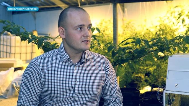 КАК НОРИЛЬСК СТАЛ ОАЗИСОМ ДЛЯ КЛУБНИКИ И ОГУРЦОВ || УНИКАЛЬНАЯ ТЕПЛИЦА ОТ ЗАПОЛЯРНОГО УНИВЕРСИТЕТА смотреть онлайн