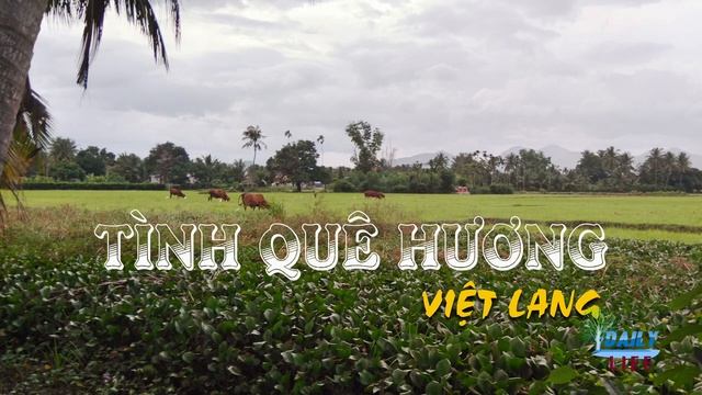Tình Quê Hương – Việt Lang – Sĩ Phú | Tờ Nhạc Xưa смотреть онлайн