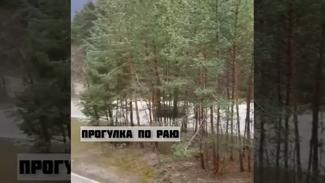прогулка по Раю смотреть онлайн