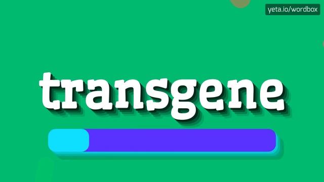 HOW TO PRONOUNCE TRANSGENE? смотреть онлайн