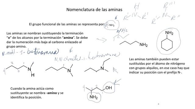 Cápsula 11 Nomenclatura de los compuestos nitrogenados смотреть онлайн