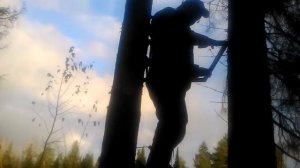 Испытание тристенда «Кабан» (лобаз-самолаз)