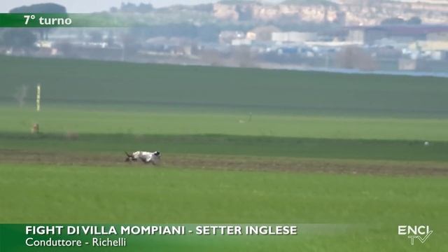 ALTAMURA 2022 DERBY INGLESI RICHIAMI 06 MARZO смотреть онлайн