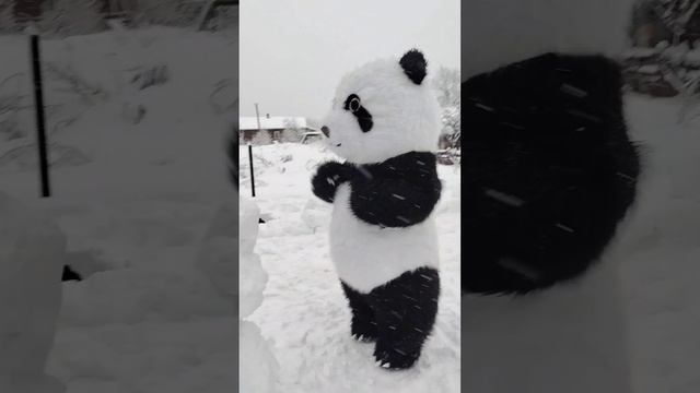 Пончик смотреть онлайн