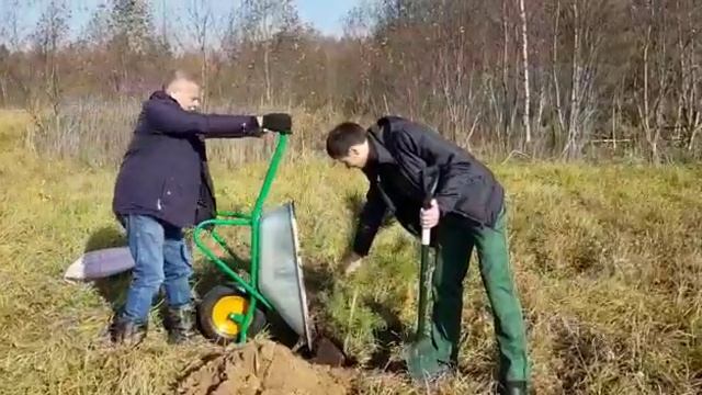 ДРК Умножитель смотреть онлайн