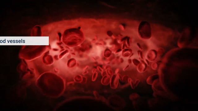 Male Vascular Sexual Support - Promotes Your Sexual Health & Function | Life Extension смотреть онлайн