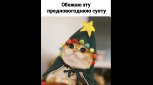 Приколы! Мемы! ЛЕГЕНДА О ЛОСЯХ! Смешные видео от Доми шоу!