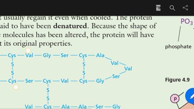 O levels Biology ||Reading|| proteins |Amino acids | Dr kashif ali смотреть онлайн