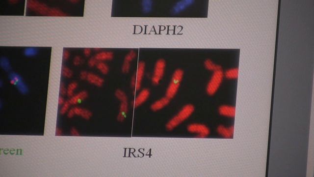 Texas A&M Expert Explains Horse Genome Project смотреть онлайн