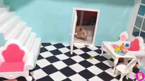 ГОСТИ У ХОМЯЧКОВ/ ВИЛЯ ПОДСЛУШИВАЕТ МАМИНЫ СЕКРЕТЫ