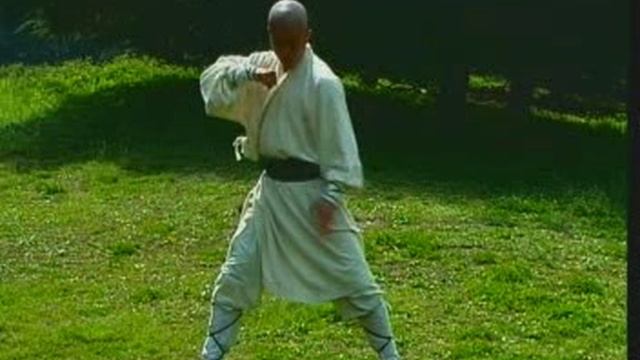 Шаолинь Дзиньган цюань - Кулак Алмазной сутры смотреть онлайн