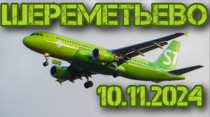 Споттинг в Шереметьево 10.11.2024