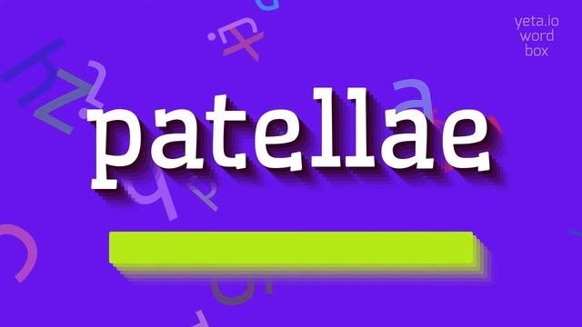 PATELLAE - HOW TO SAY PATELLAE? #patellae смотреть онлайн
