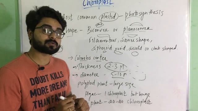 cytology lecture-7 (Chloroplast) : plant science for JRF: plant breeding and genetics смотреть онлайн