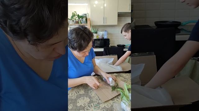 Первая посылка с цветами от цветочного друга из Волгограда ❤️.Распаковка. смотреть онлайн