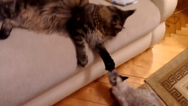 Бедный Ерик смотреть онлайн