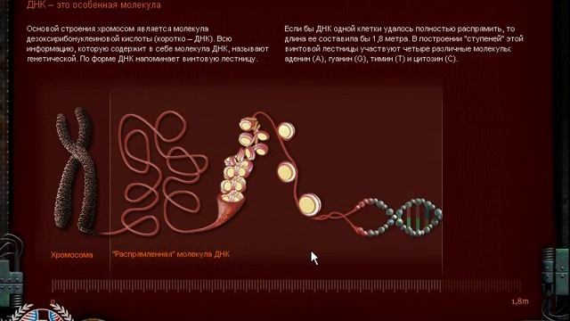 ❁ ЭНЦИКЛОПЕДИЯ генетика / Geneticks ❁10❁RU/ENG❁ Биотопия ❁Bioschopia смотреть онлайн