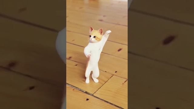 cute cat dance #trending #viral #cutedance #shortfeed смотреть онлайн