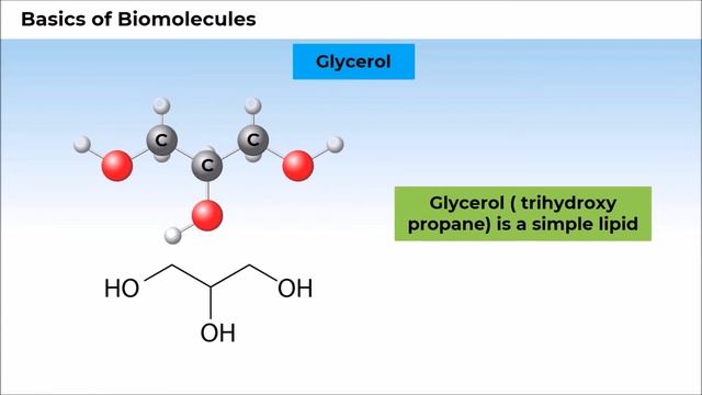 5. 11B09 CV2 (Part III - Lipids) смотреть онлайн