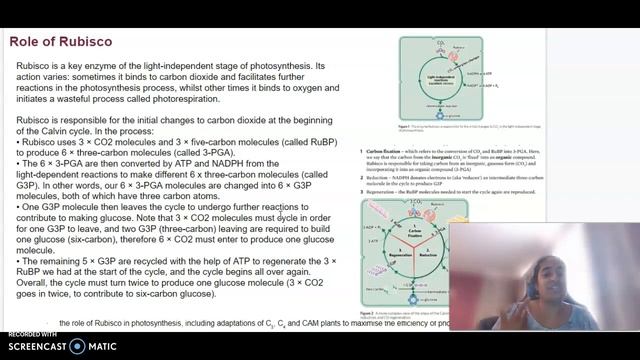 Unit 3 AOS 2 Biology: Photosynthesis смотреть онлайн