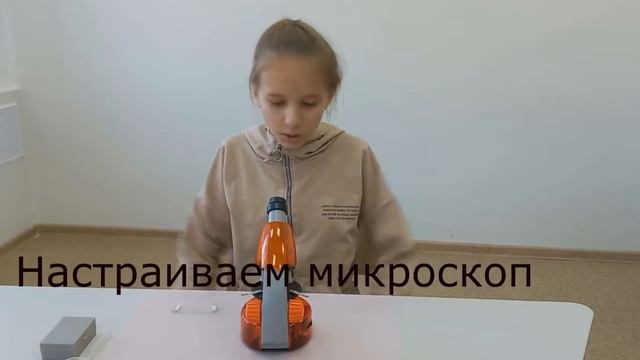 В поисках жизни смотреть онлайн