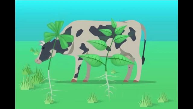 Азот. Азот айналымы