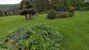 Красивейший сад в Чехии. Miniarboretum u Holubů. Азалии расцветают. 3 часть.