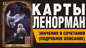 ЛЕНОРМАН | Значения и сочетания | 12. Совы
