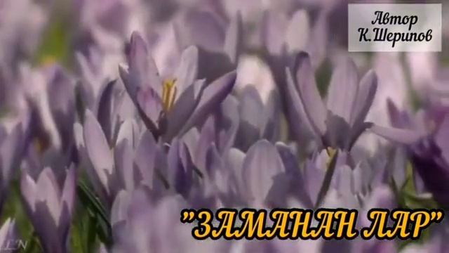 Заманан лар смотреть онлайн