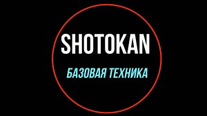 Базовая техника Сётокан каратэ Basic technics Shotokan karate 松濤館 空手道基本