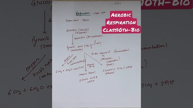 Life -process |Class 10th | Aerobic Respiration смотреть онлайн