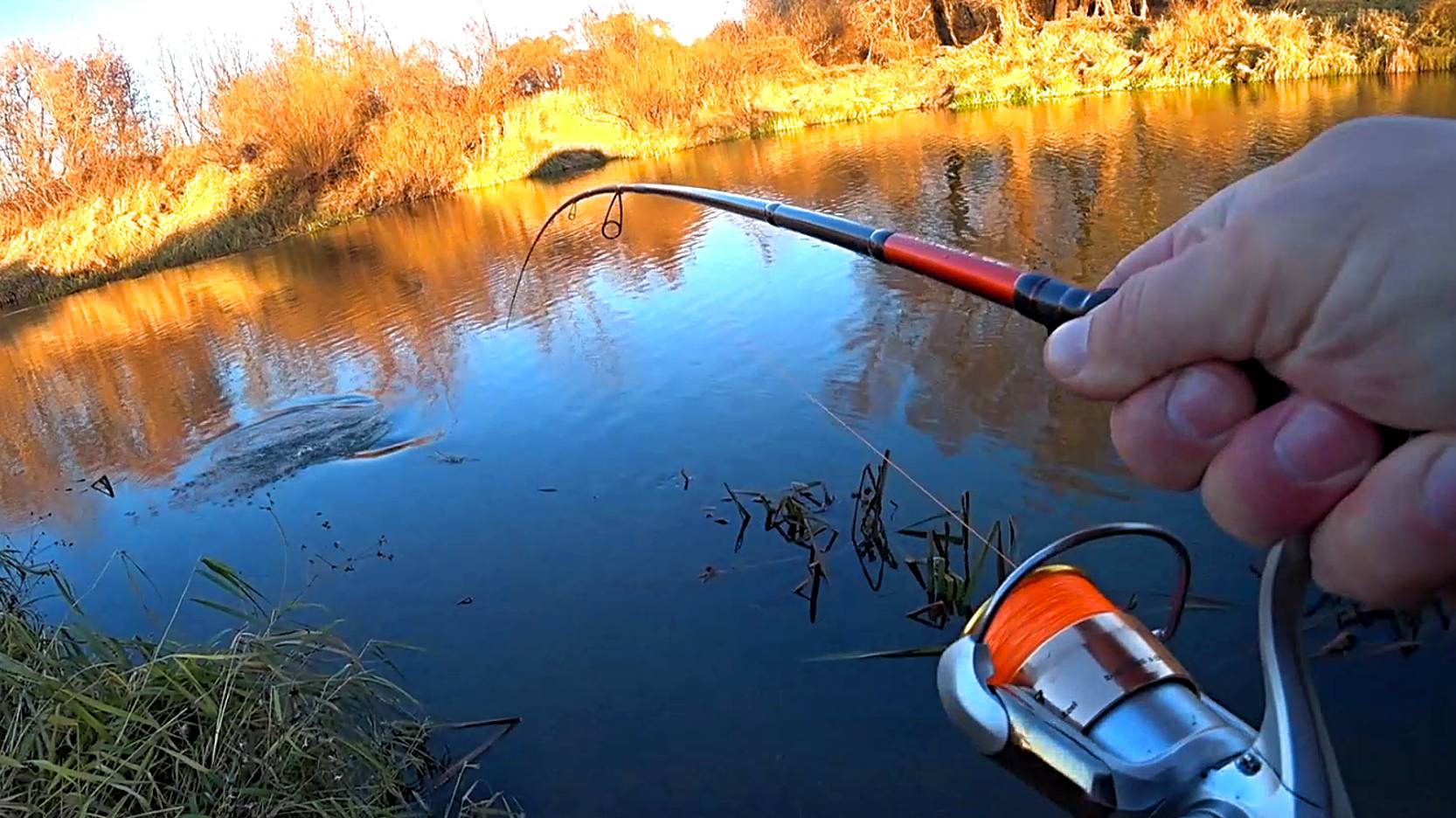 Рыбалка на СПИННИНГ с берега! Ловля ЩУКИ и СУДАКА на джиг! Рыбалка на спиннинг в ноябре! смотреть онлайн