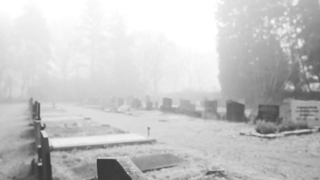 RELATOS DE TERROR | Cuando un muerto te sigue a casa | El secreto de mi familia смотреть онлайн