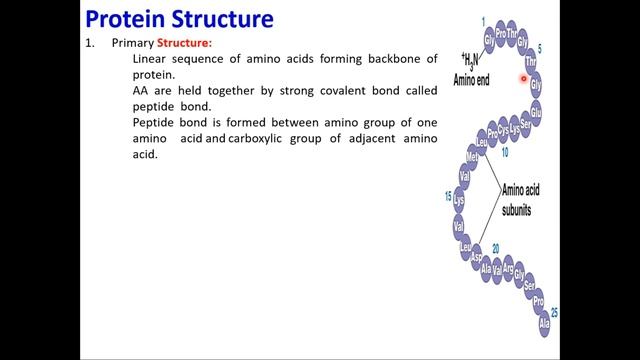 Protein Chemistry Crash Course Lecture 1 - Amino Acid & Protein Classification. Protein PPT смотреть онлайн
