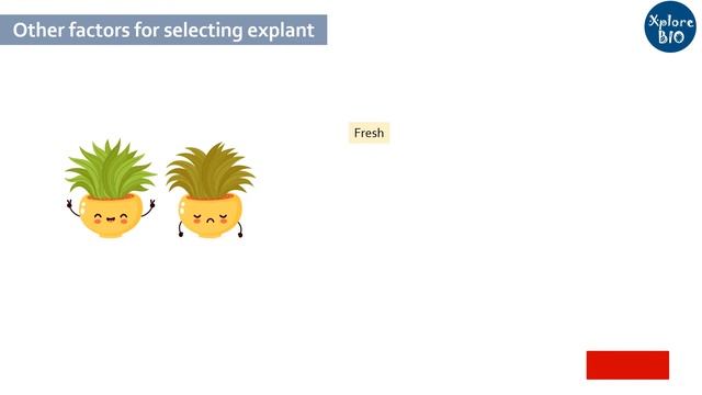 Explant, Types And Sterilization In Plant Tissue Culture