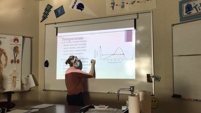 Biology Mini-Lecture: Enzymes смотреть онлайн
