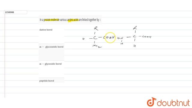 In a protein molecule various amino acids are linked together by `:` смотреть онлайн