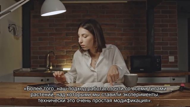 Генетики втрое увеличили урожайность риса и картофеля с помощью простой модификации генов смотреть онлайн