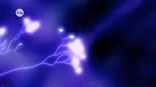 Табиғи сұрыптау – эволюцияның қозғаушы күші және факторы. Биология пән оқытушысы: А.Ғ.Мендыгалиева смотреть онлайн