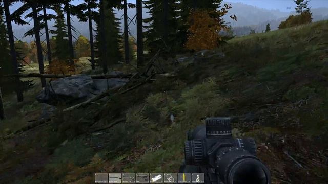 DayZ LAG-switch?