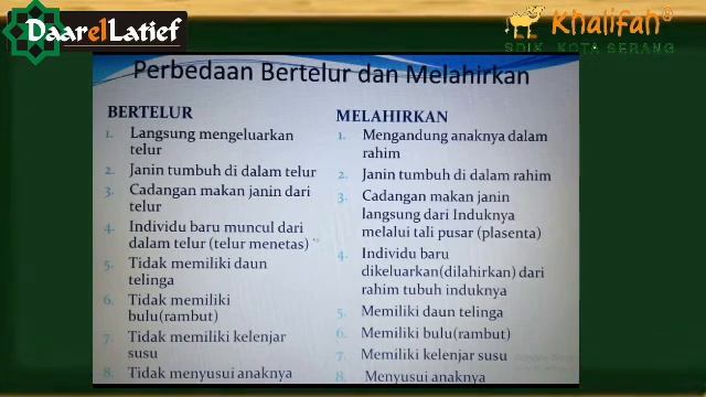 Pertumbuhan dan Perkembangan Hewan. Kelas 3 muatan Bahas Indonesia смотреть онлайн