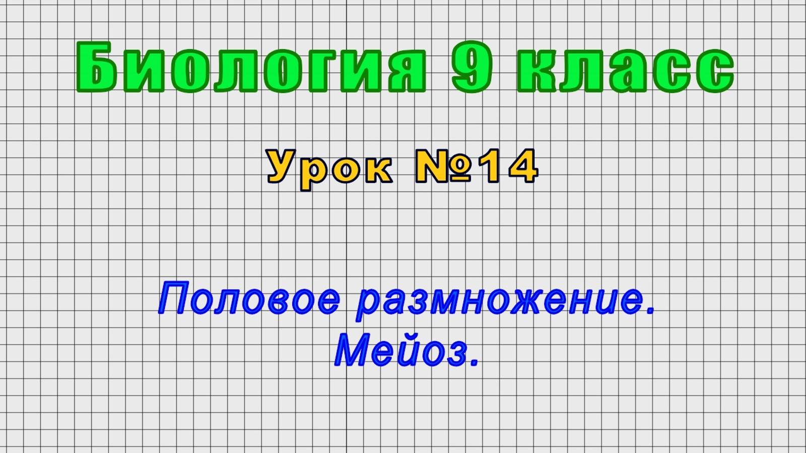 Биология 9 класс (Урок№14 - Половое размножение. Мейоз.) смотреть онлайн