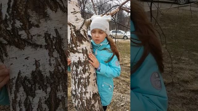 С.Васильев " Белая береза" смотреть онлайн
