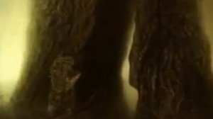 Ёжик в тумане 1975