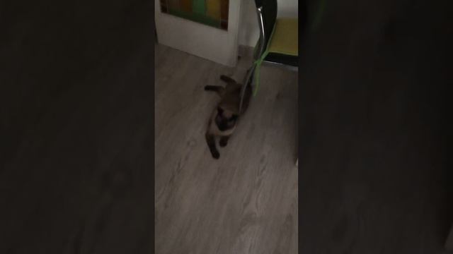 Eto ya Alina смотреть онлайн