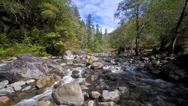 Baldface Creek смотреть онлайн
