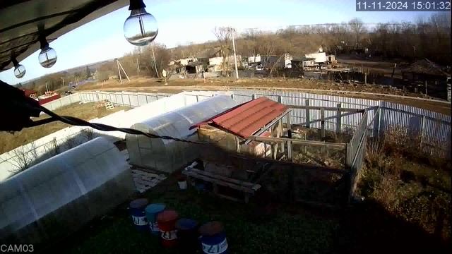 20241111_1 смотреть онлайн