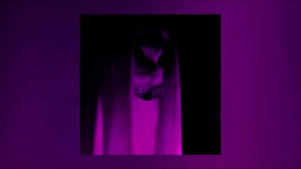 Ameno - SpedUp ( 1 Hour )