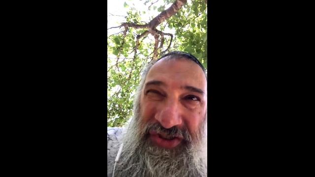 Коммунизм и кибуцы в Израиле. Дискуссия с Авраамом Шмулевичем смотреть онлайн